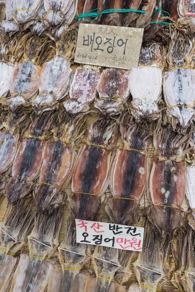 Calamares secos en el mercado en Corea — Foto de Stock