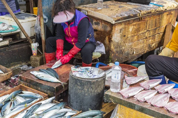 釜山-2016 年 10 月 27 日︰ 新鲜的鱼和海鲜在札嘎其 Fis — 图库照片