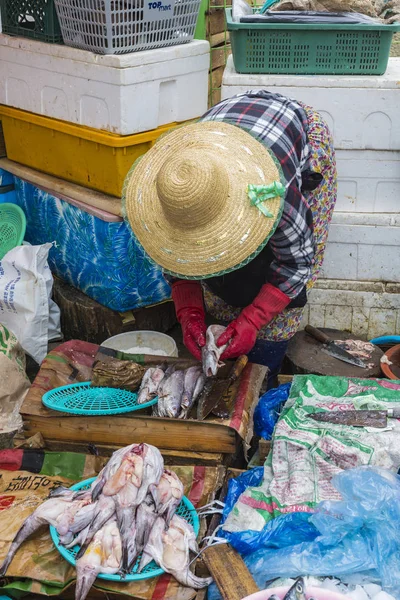 Busan - 27 Ekim 2016: Taze balık ve deniz ürünleri Jagalchi FIS — Stok fotoğraf