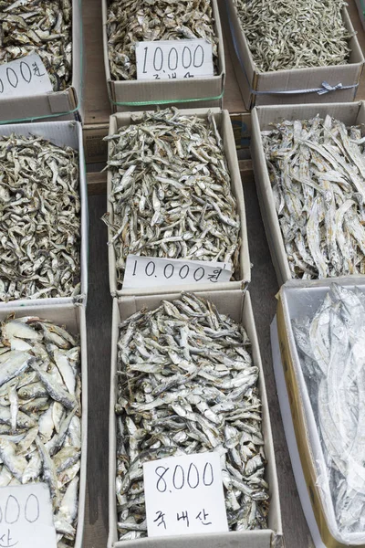Torkad fiskmarknaden i Sydkorea — Stockfoto