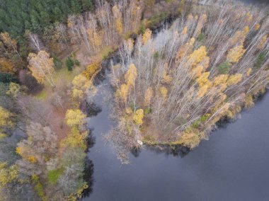 Forrest farklı renk ağaçları ile hava görünümünü. Alınan süre