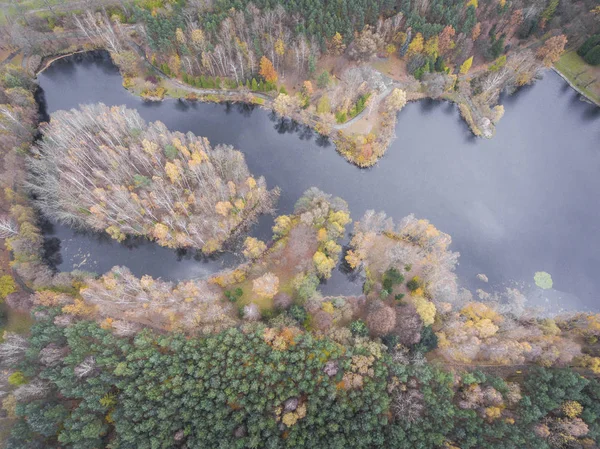 別の色の木と森の空撮。撮影長調 — ストック写真