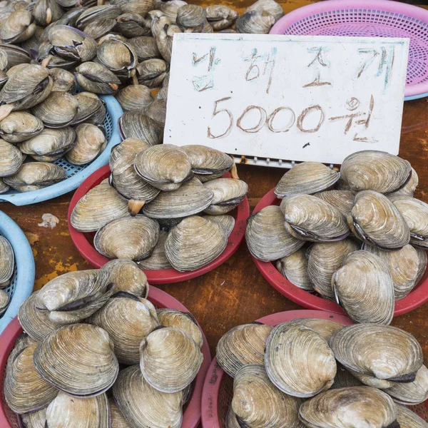 Deniz ürünleri, Balık pazarı Pusan, Kore.