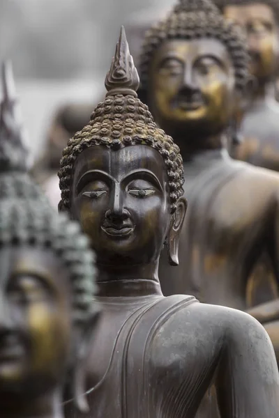 Fileira de estátuas de Buda no templo de Ganagarama, Colombo, Sri Lanka — Fotografia de Stock