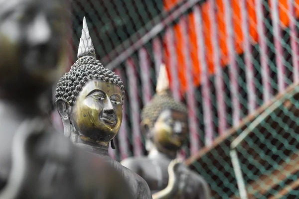 Satır bir Buda'nın heykel Ganagarama Tapınağı, Colombo, Sri Lanka — Stok fotoğraf