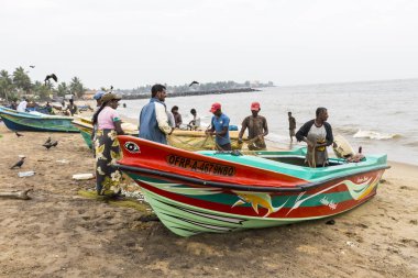 Negombo, Sri Lanka - 30 Kasım: insanlar toplamak kurutulmuş balık ve 