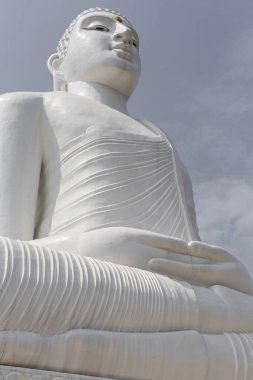 Bahirawakanda Sri Maha Bodhi Tapınağı Kandy, Sri Lanka. Tem
