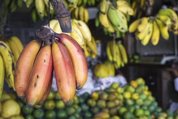 Plátanos rojos, amarillos y verdes en venta en un mercado, Kand —  Fotos de Stock