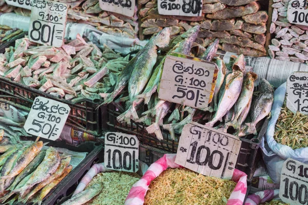Peces secos en el mercado de pescado de Sri Lanka —  Fotos de Stock