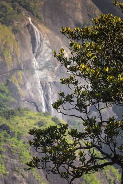 Walking down Adam's Peak on Sri Lanka — Stock Photo, Image