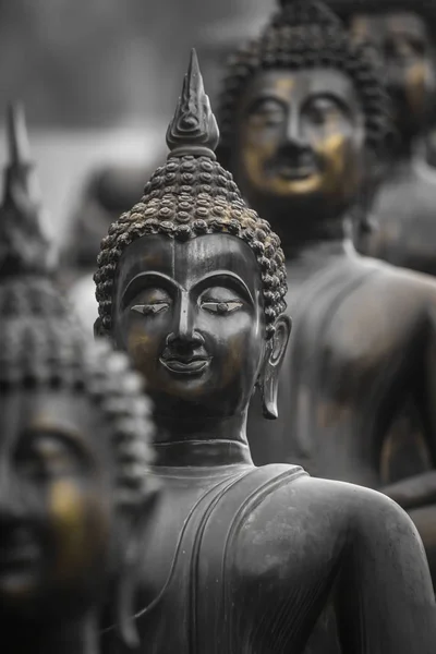 Řada ze soch Buddhy v Ganagarama chrámu, Colombo, Srí Lanka. — Stock fotografie