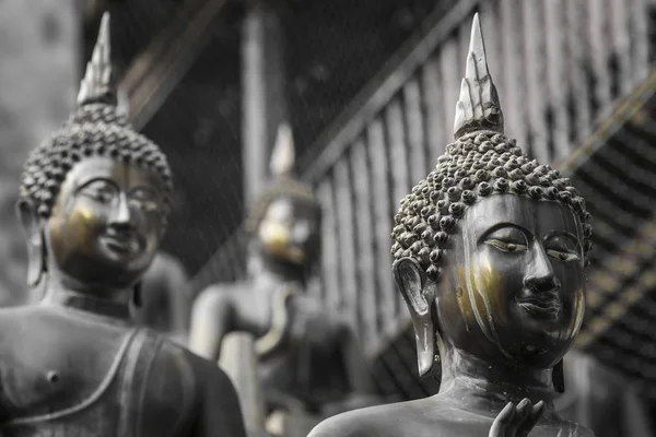 Fila di statue di Buddha al tempio Ganagarama, Colombo, Sri Lanka . — Foto Stock