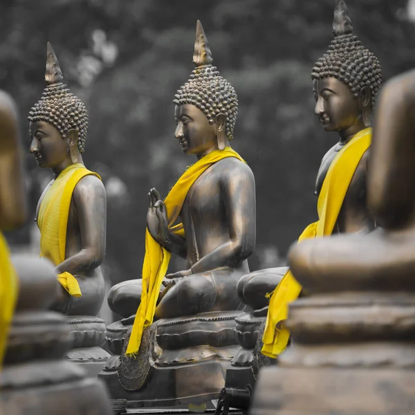 Sochy Buddhy v Seema Malaka Temple, Colombo, Srí Lanka — Stock fotografie