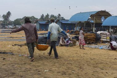 Negombo, Sri Lanka - 30 Kasım: insanlar Balık tutma Kuzey ile çalışma