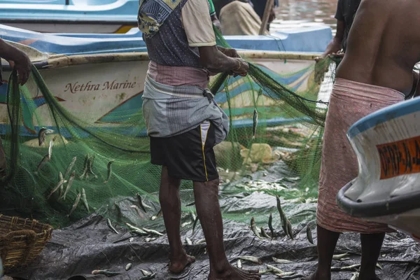 NEGOMBO, SRI LANKA - NOVEMBER 30: People working with fishing ne — Stock Photo, Image