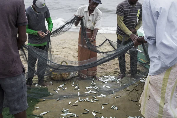 NEGOMBO, SRI LANKA - NOVEMBER 30: People working with fishing ne — Stock Photo, Image