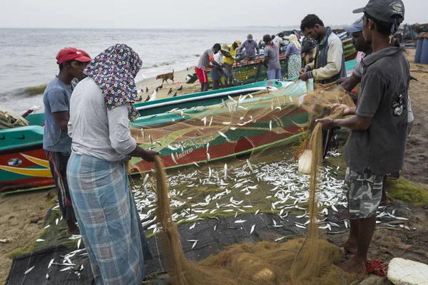 Negombo, sri lanka - 30. November: Menschen, die mit der Fischerei arbeiten — Stockfoto