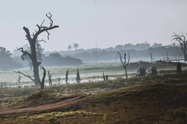 Vilda landskap på morgonen. Udawalawe nationalpark i Sri L — Stockfoto