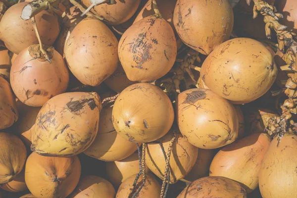 Noci di cocco gialle attuali in Sri Lanka . — Foto Stock