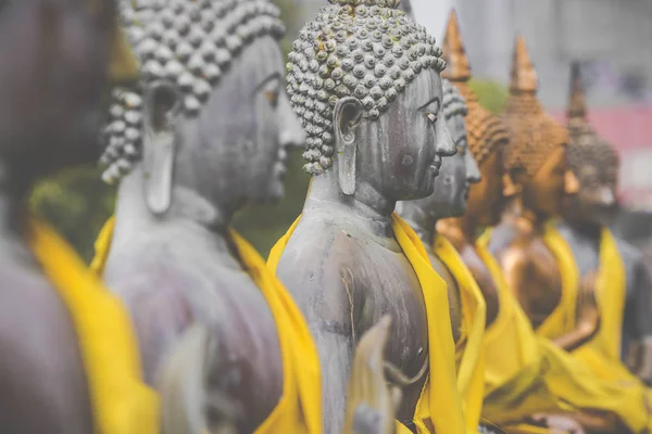 Buda heykelleri Seema Malaka Tapınağı, Colombo, Sri Lanka — Stok fotoğraf