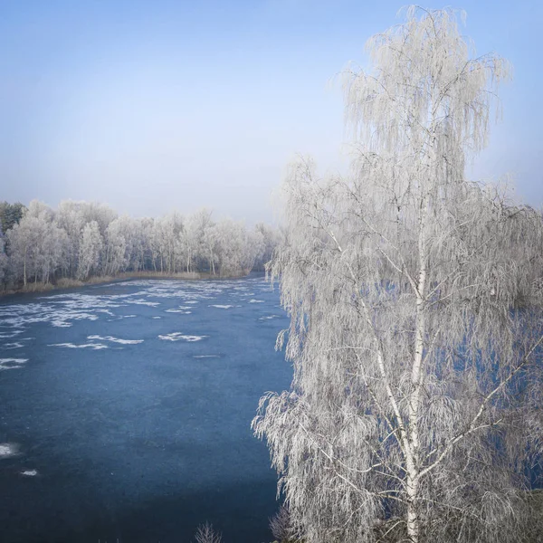 Kış arka plan karla kaplı orman ile havadan görünümü — Stok fotoğraf
