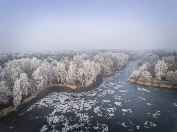 Aerial view of the winter background with a snow-covered forest — Stock Photo, Image