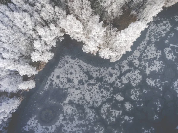 雪に覆われた森林と冬の背景の空撮 — ストック写真