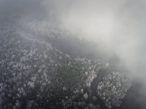 Вид с воздуха на зимний фон с заснеженным лесом — стоковое фото