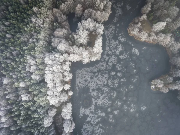 Вид с воздуха на зимний фон с заснеженным лесом — стоковое фото