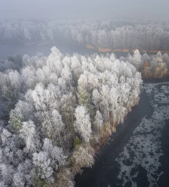 Veduta aerea dello sfondo invernale con una foresta innevata — Foto Stock