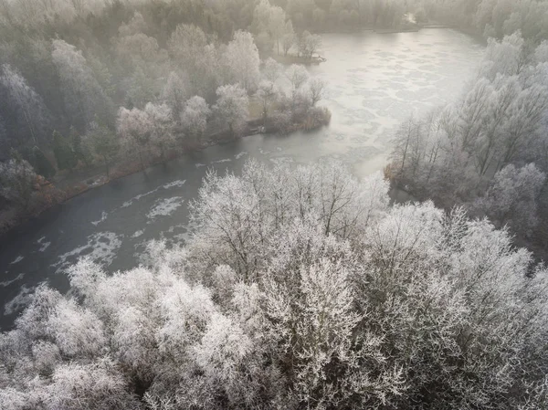 Aerial view of the winter background with a snow-covered forest — Stock Photo, Image