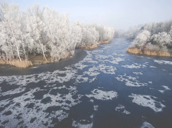 Veduta aerea dello sfondo invernale con una foresta innevata — Foto Stock