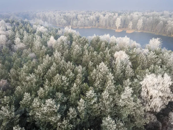 Vista aérea do fundo de inverno com uma floresta coberta de neve — Fotografia de Stock