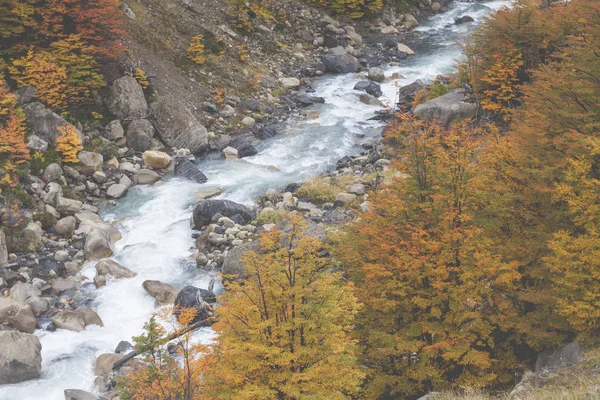 Parco nazionale Torres del Paine, Patagonia, Cile — Foto Stock