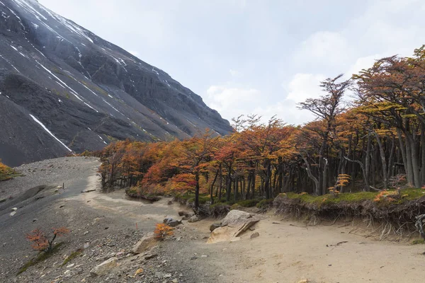 Torres del Paine nationalpark, Patagonien, Chile — Stockfoto