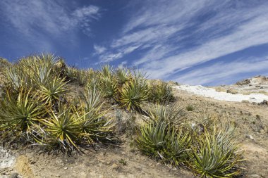 Isla Del Sol. ada güneş Bolivya'nın. Titicaca gölü. Güney A