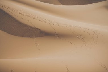 Sahra Çölü 'ndeki kum tepeleri, Fas