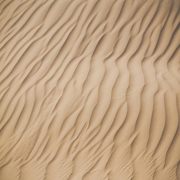 Dunas de arena en el desierto del Sahara, Marruecos —  Fotos de Stock