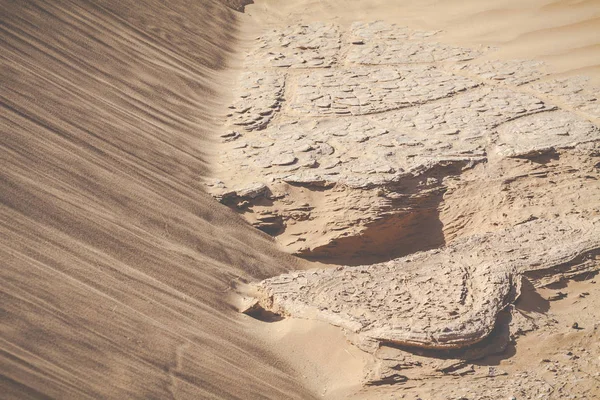 Αμμόλοφοι στην έρημο Σαχάρα, Μαρόκο — Φωτογραφία Αρχείου