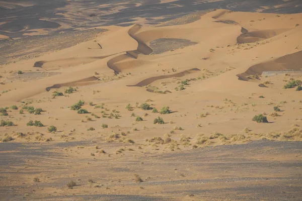 Dunas de arena en el desierto del Sahara, Marruecos — Foto de Stock