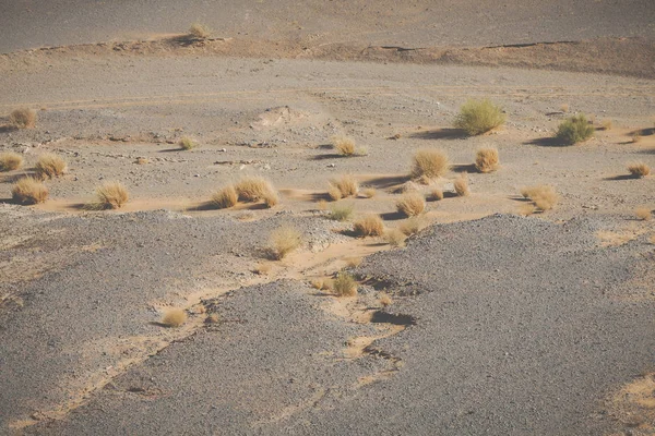 Sand dunes in the Sahara Desert, Morocco — Stock Photo, Image