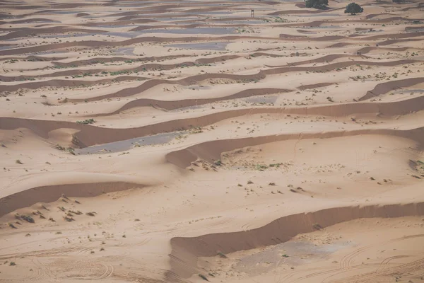 Písečné duny v poušti Sahara, Maroko — Stock fotografie