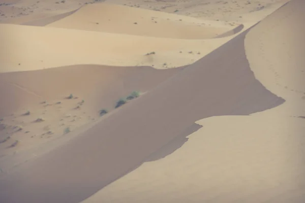 Sand dunes in the Sahara Desert, Morocco — Stock Photo, Image