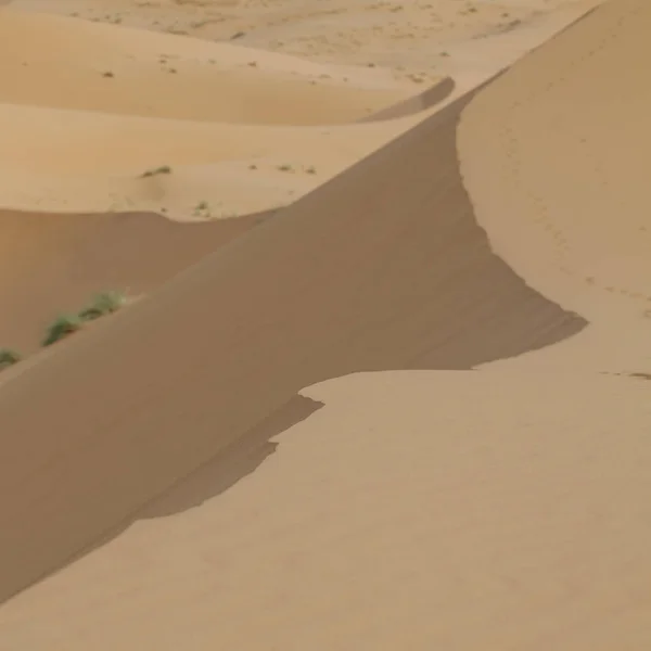 Dunas de areia no deserto do Saara, Marrocos — Fotografia de Stock