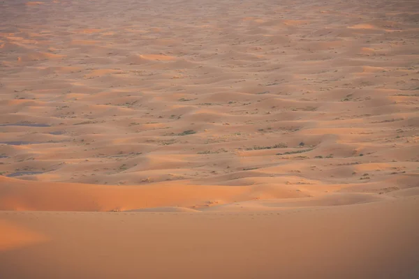 Zandduinen in de Sahara woestijn, Marokko — Stockfoto