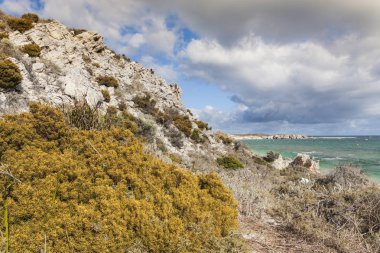 Rottnest Adası, Australi plajlarından biri üzerinde doğal görünümü