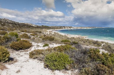 Rottnest Adası, Australi plajlarından biri üzerinde doğal görünümü