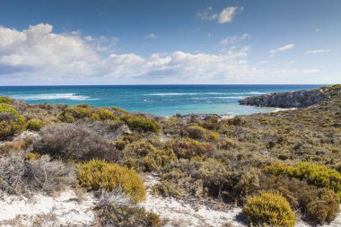 Rottnest Adası, Australi plajlarından biri üzerinde doğal görünümü