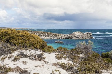 Rottnest Adası, Australi plajlarından biri üzerinde doğal görünümü