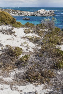 Rottnest Adası, Australi plajlarından biri üzerinde doğal görünümü